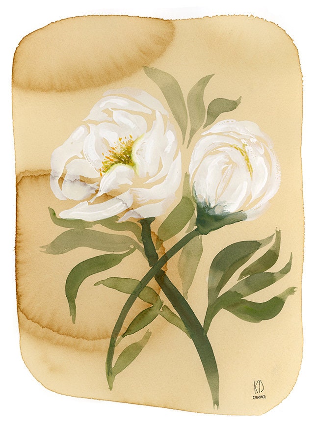 White Peony on Coffee Stain Paper Print