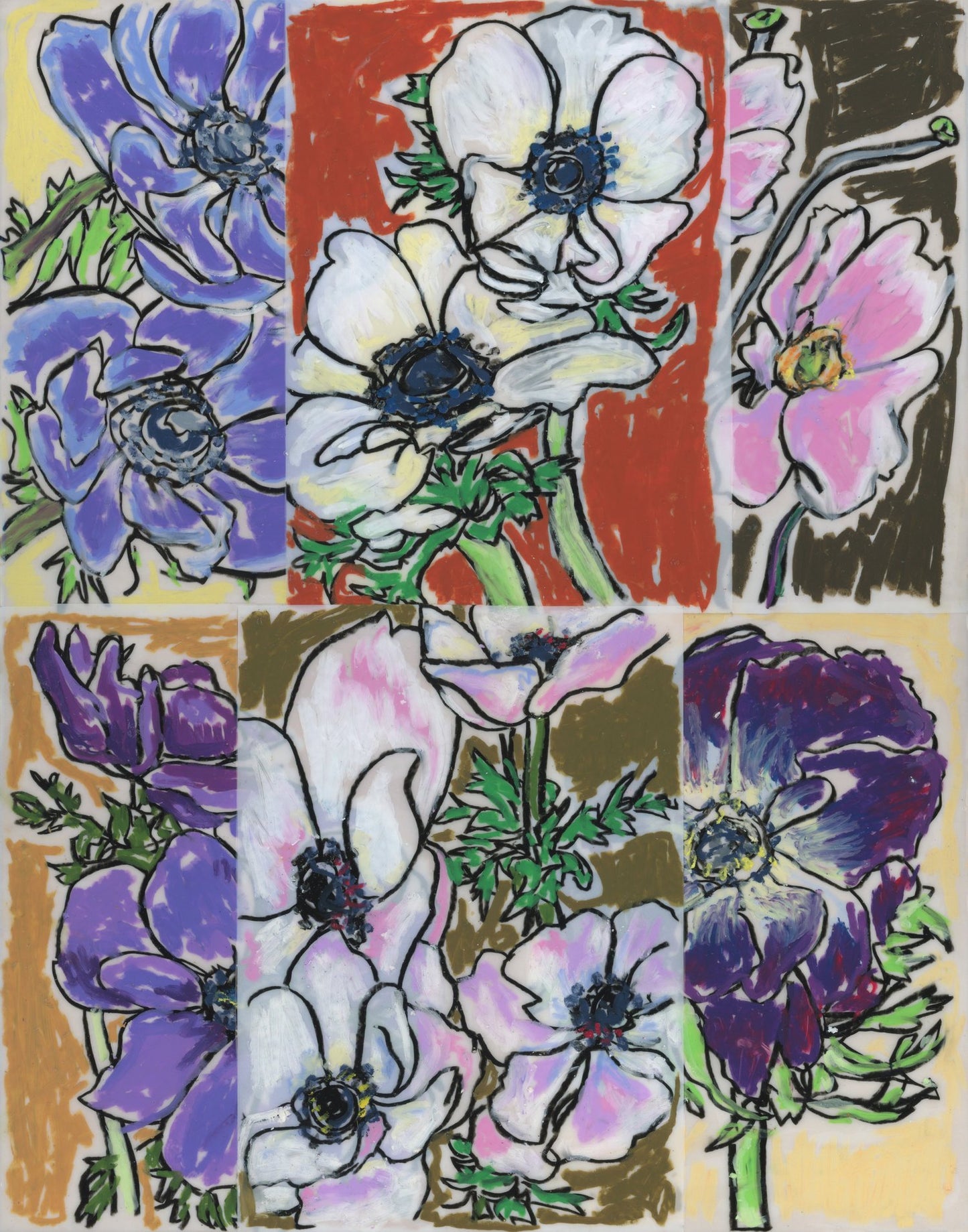 Anemone Collage 2
