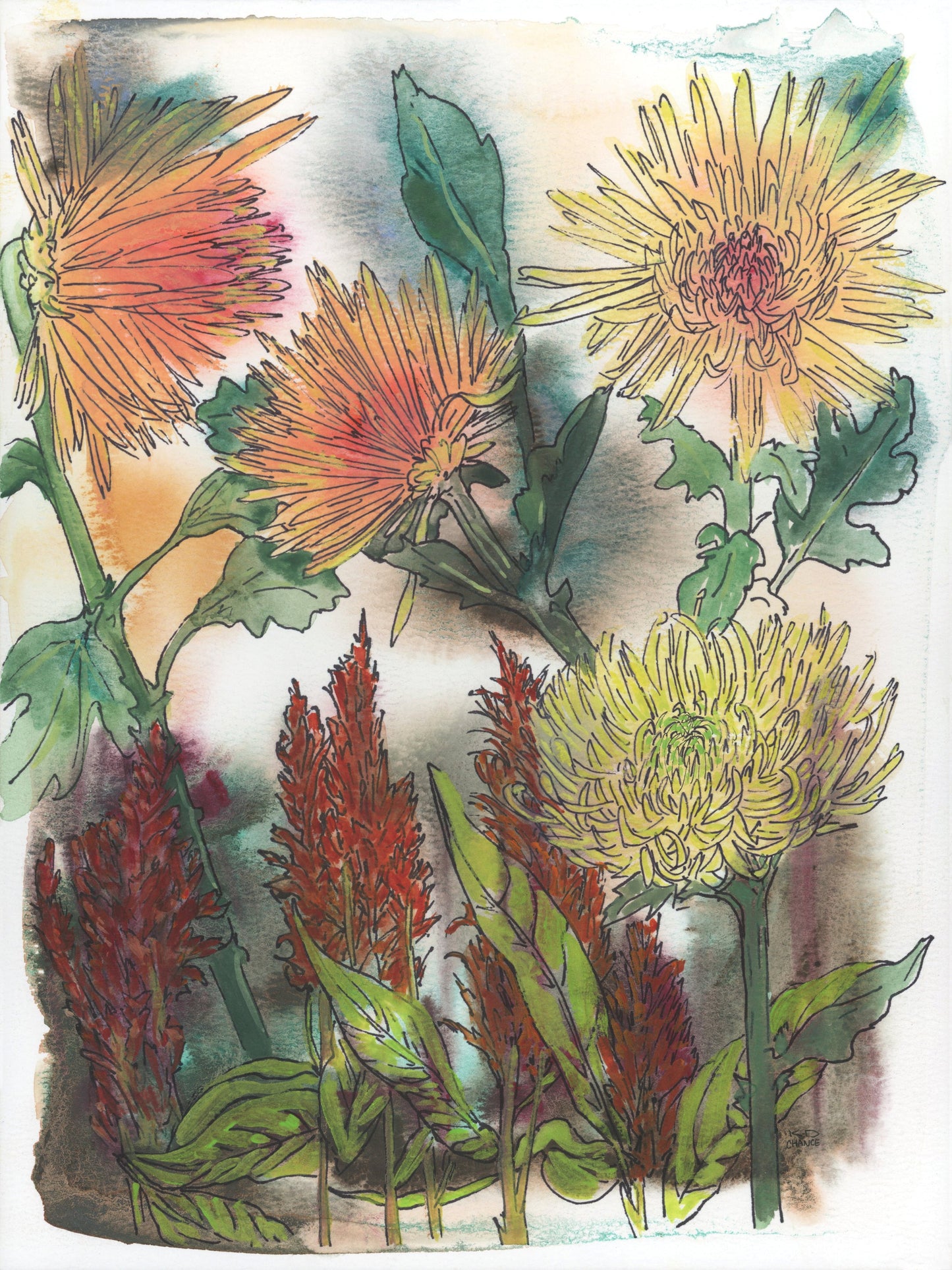 Chrysanthemums and Celosia Floral Print