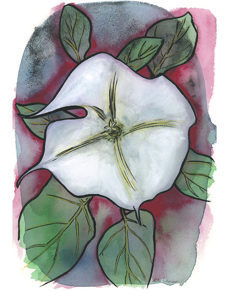 Moon Flower Alone