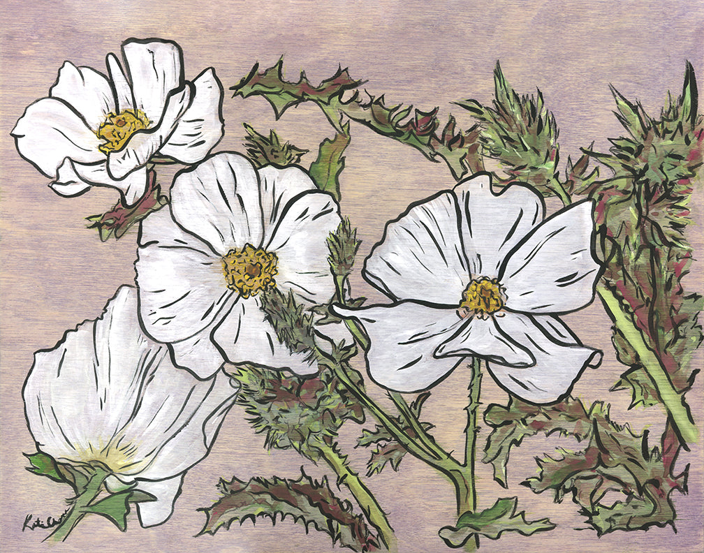 A Prickly Flower Named Poppy