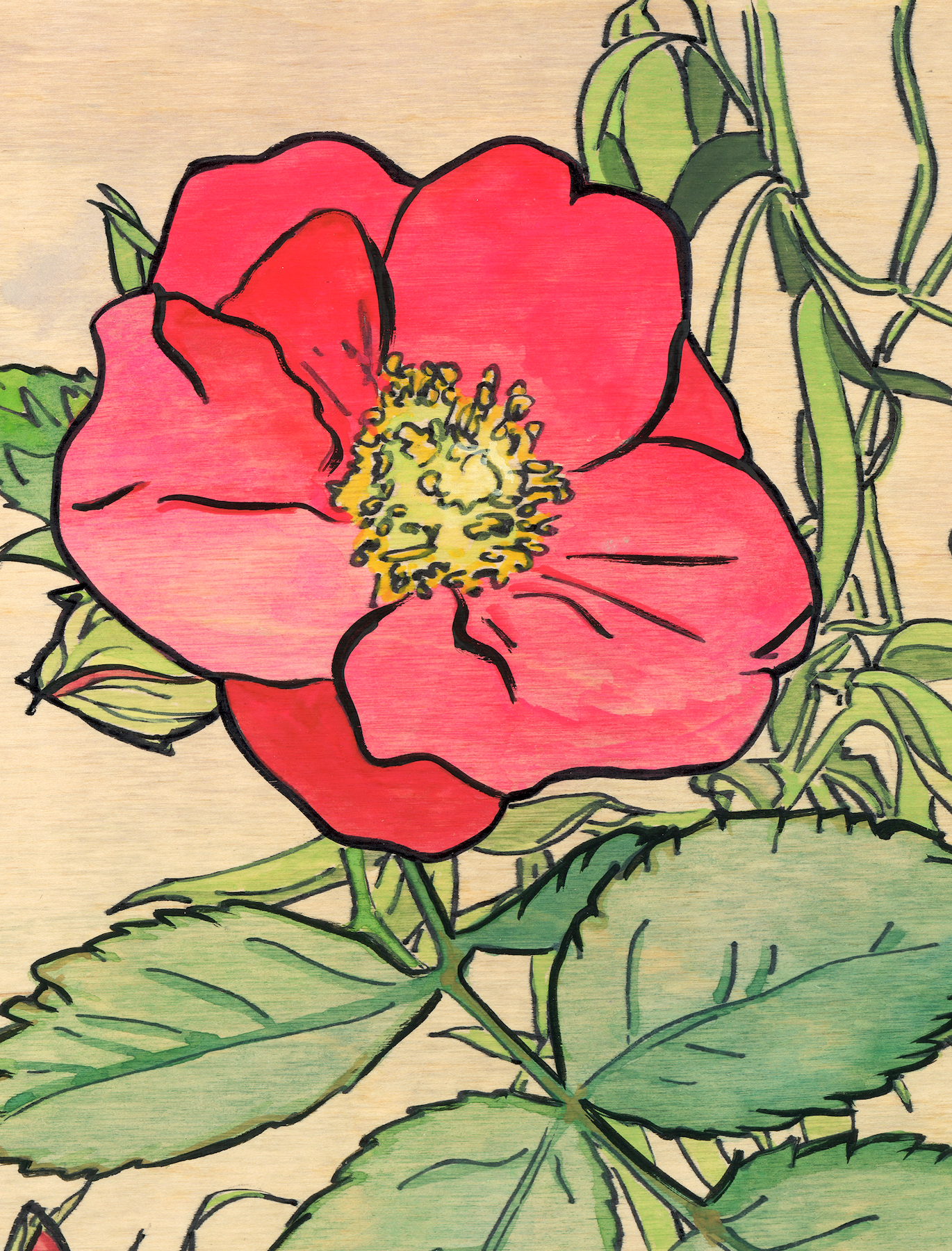 Willow and Roses Floral Print
