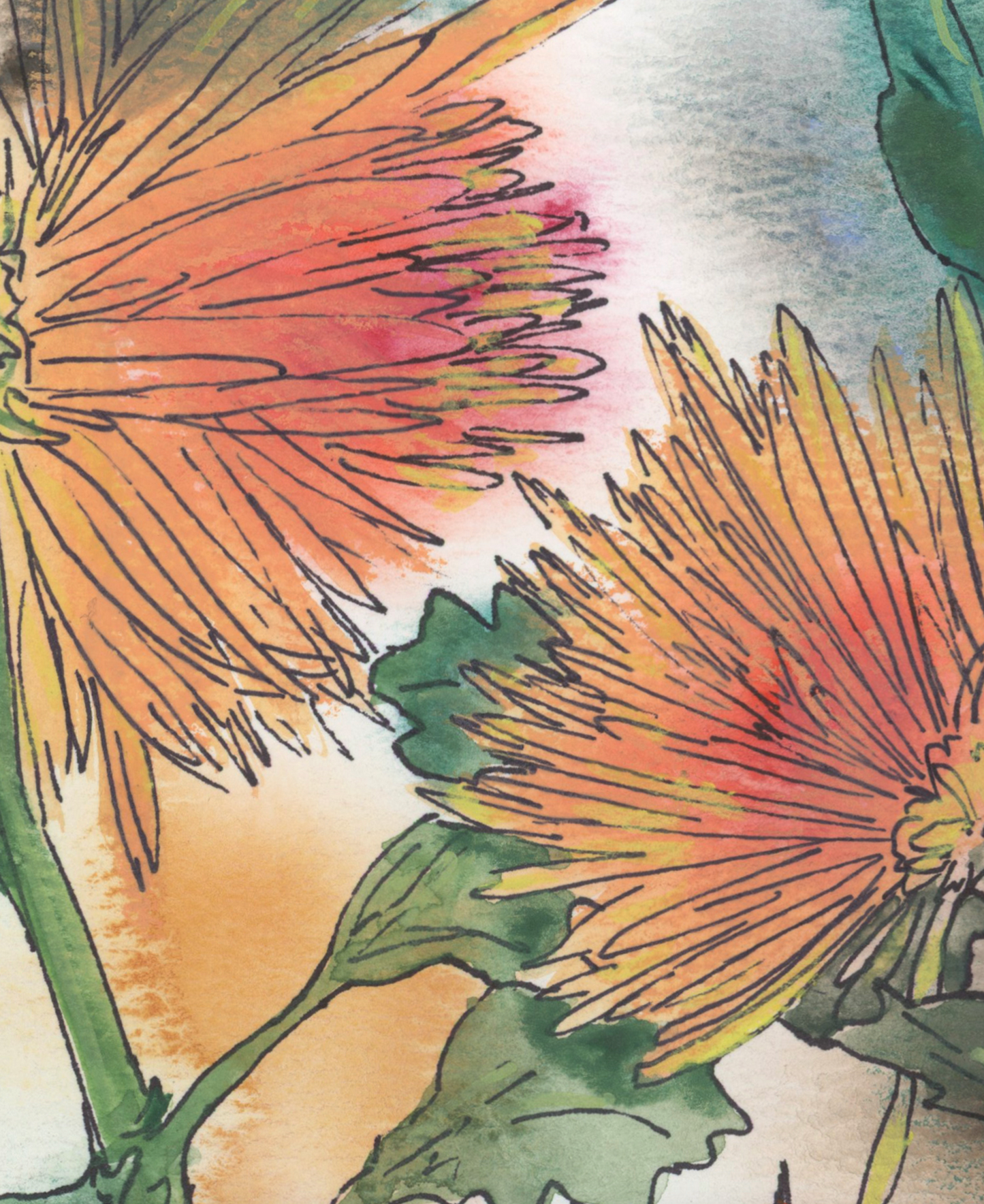 Chrysanthemums and Celosia Floral Print