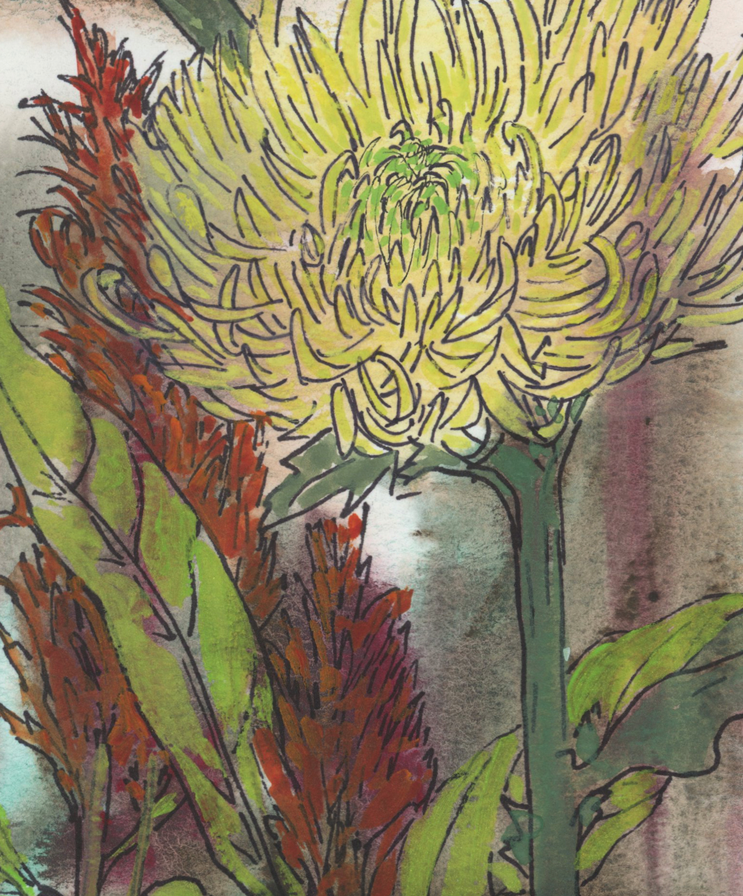 Chrysanthemums and Celosia Floral Print