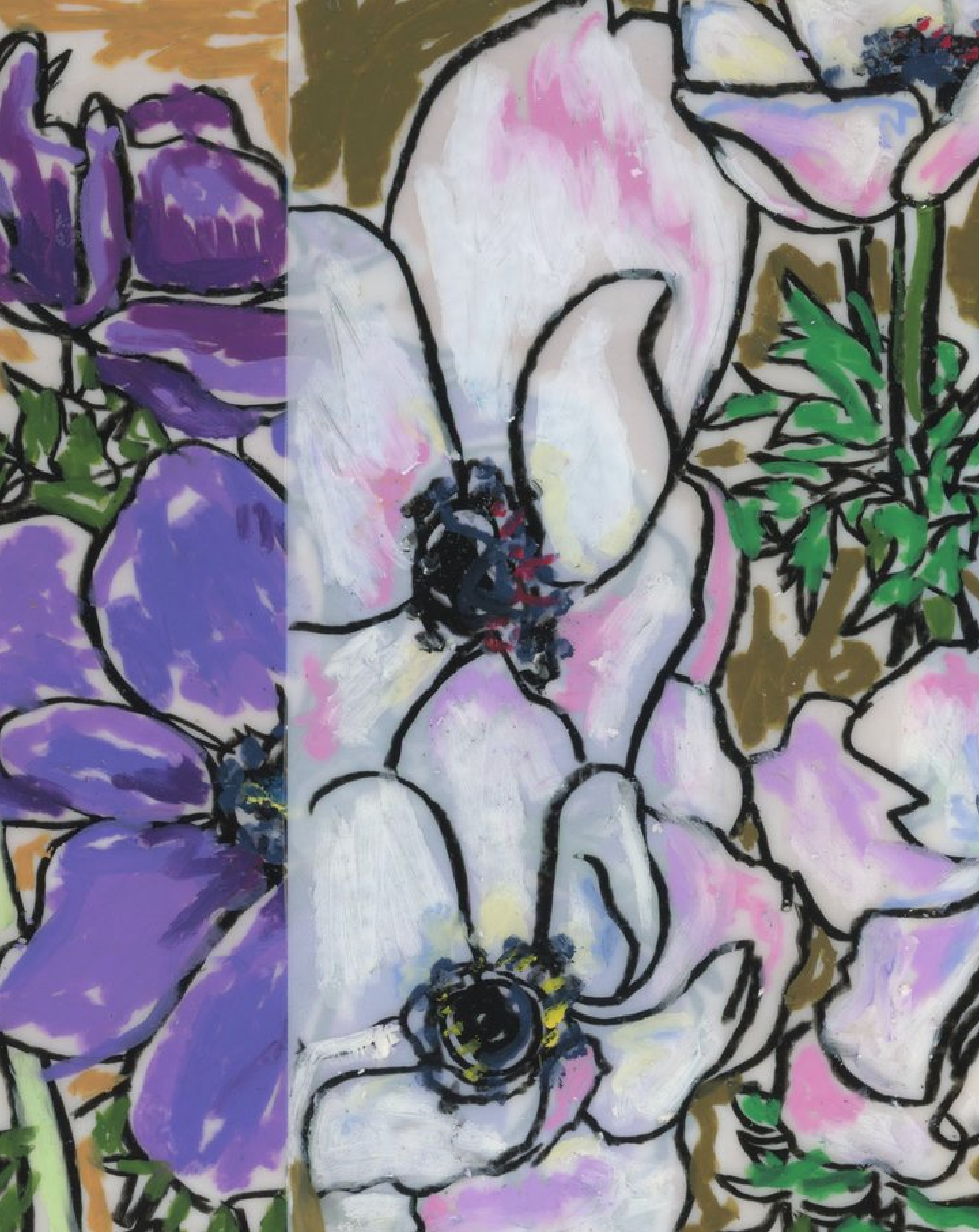 Anemone Collage 2