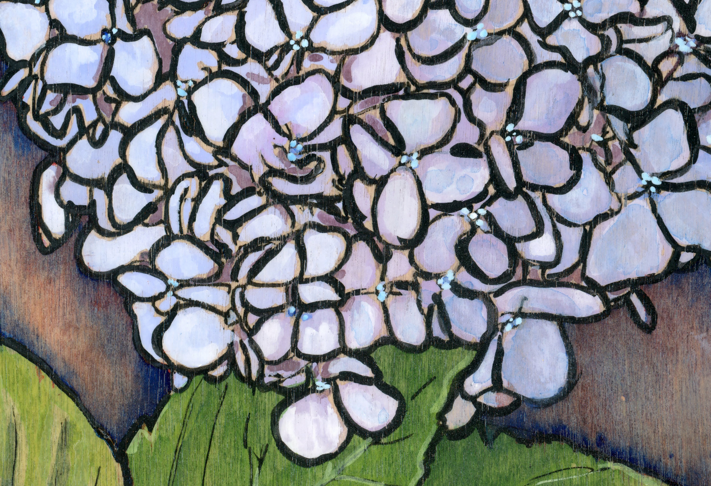 Hydrangea Print