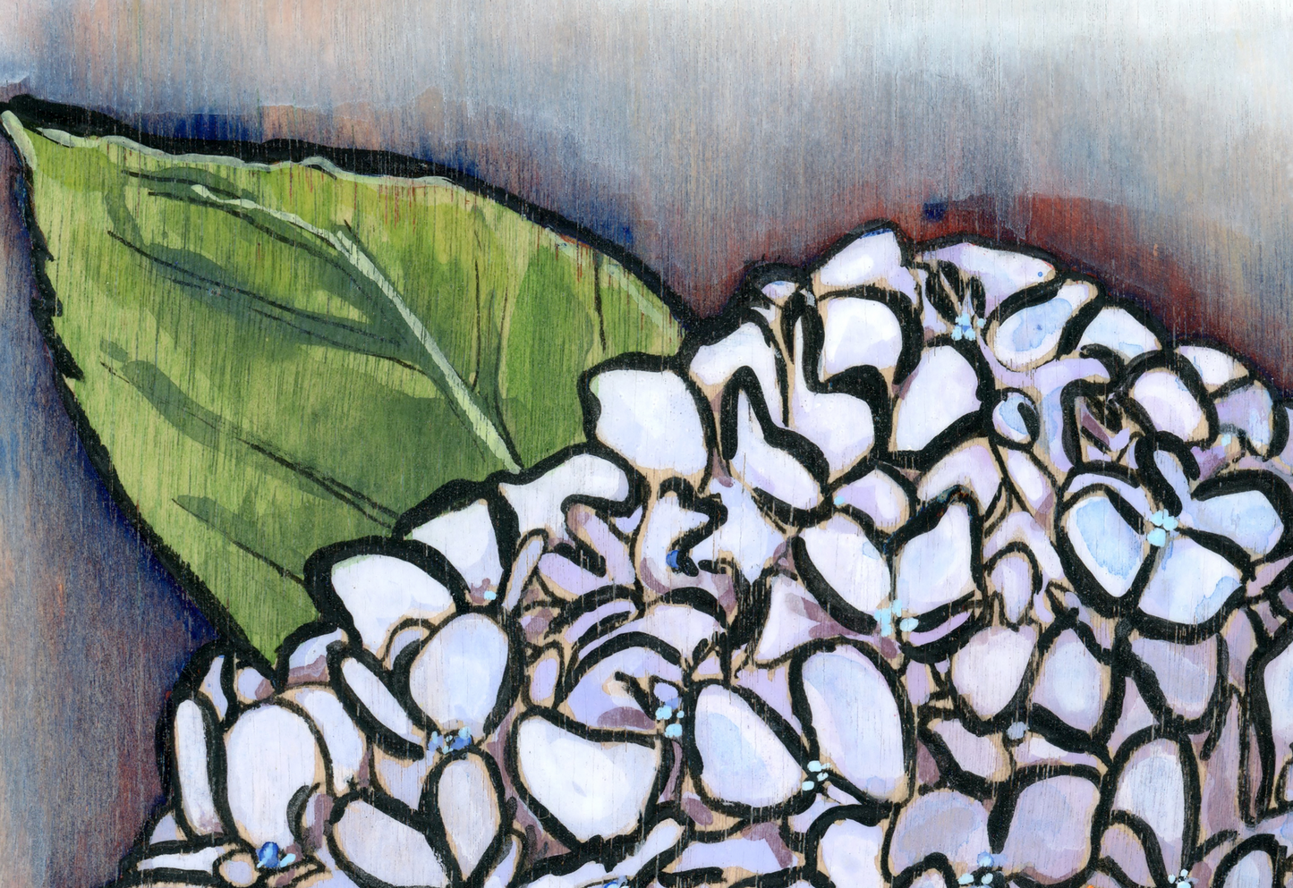 Hydrangea Print