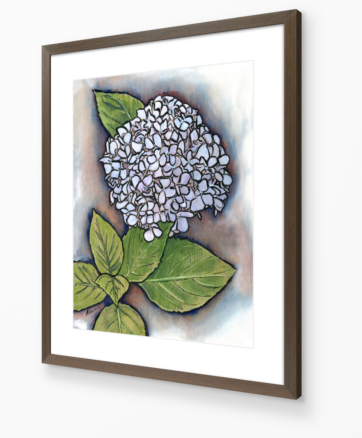 Hydrangea Print