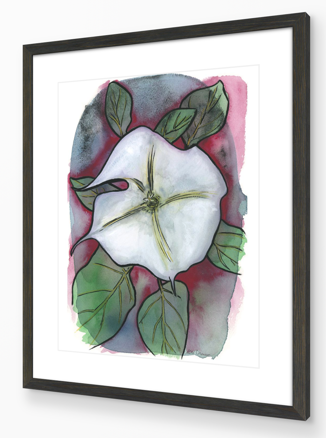 Moon Flower Alone