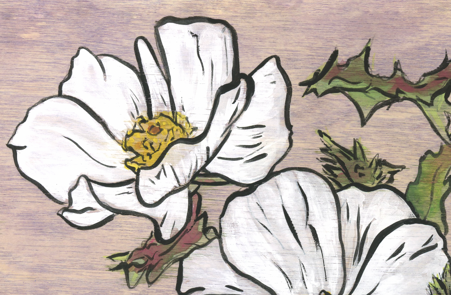 A Prickly Flower Named Poppy