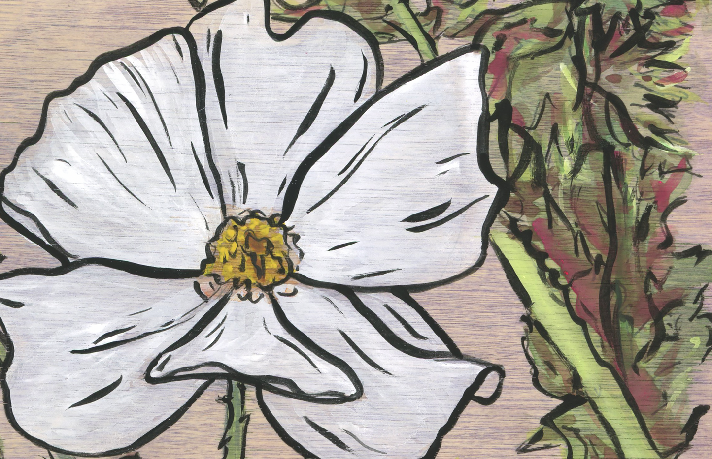 A Prickly Flower Named Poppy