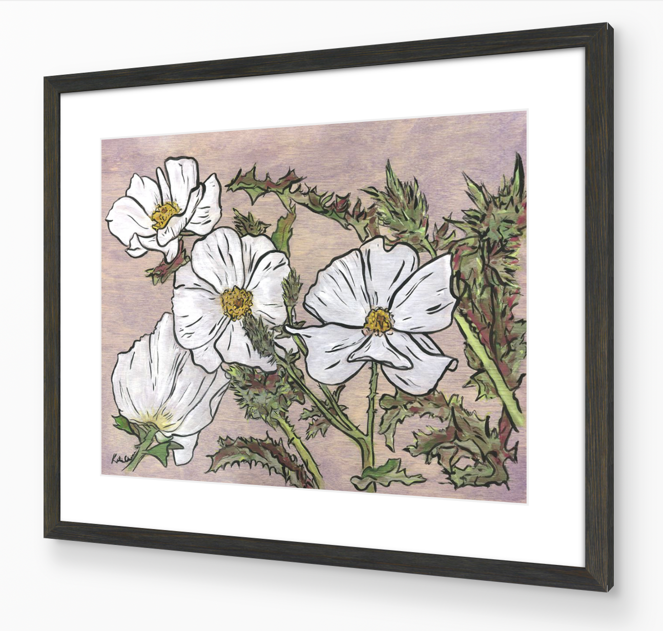 A Prickly Flower Named Poppy
