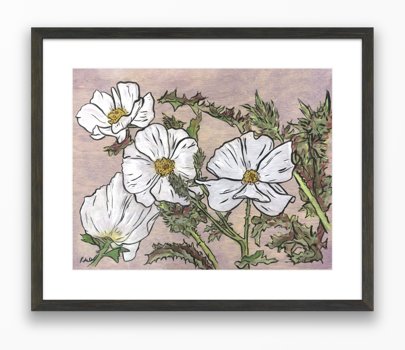 A Prickly Flower Named Poppy
