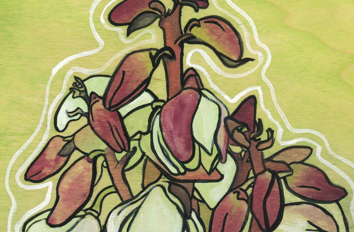Yucca Branch