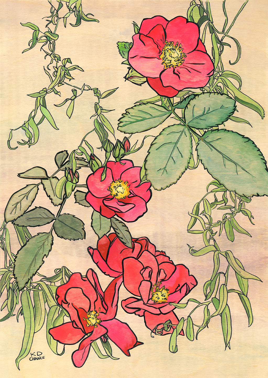 Willow and Roses Floral Print