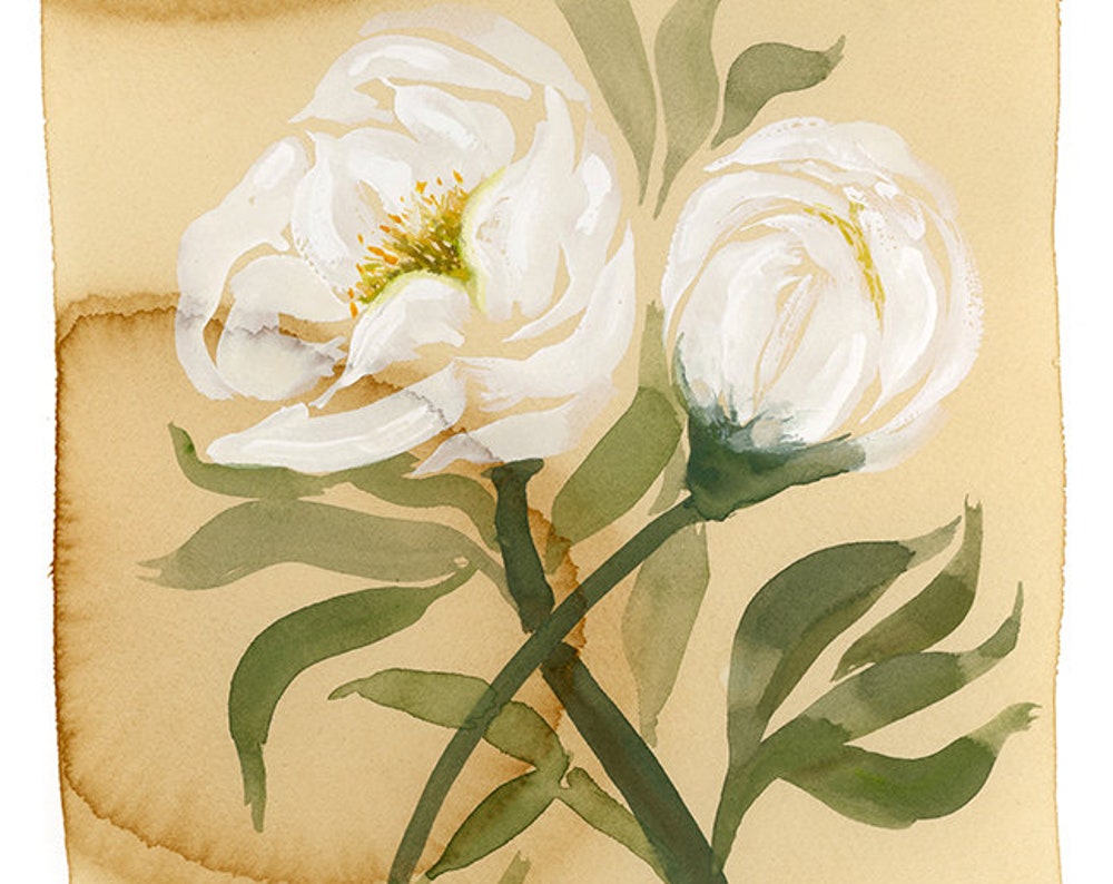 White Peony on Coffee Stain Paper Print