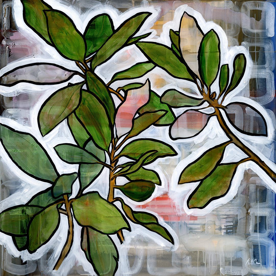 Branches of the Magnolia Tree