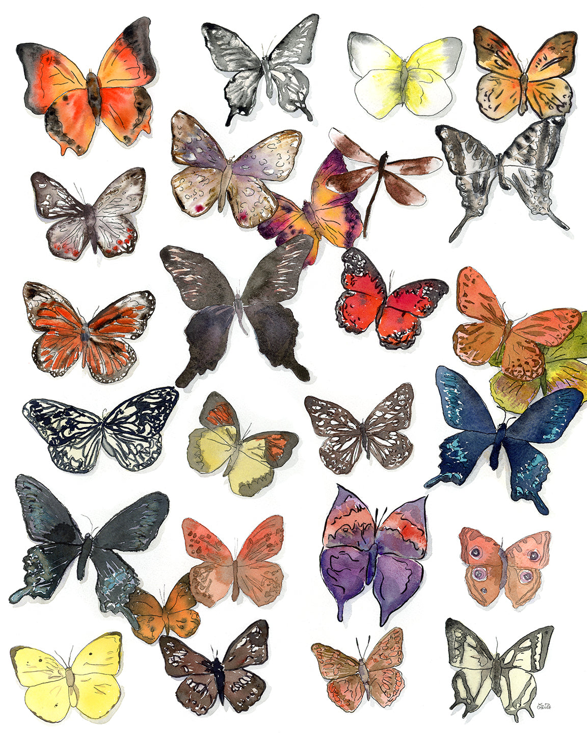 Butterfly Paper Print