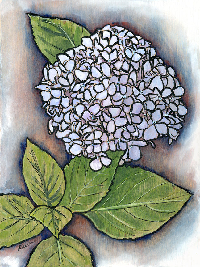 Hydrangea Original