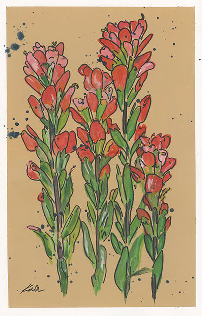 Indian Paintbrush on Tan Gouache Print
