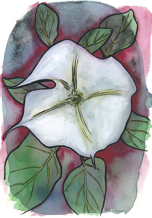 Moon Flower Alone