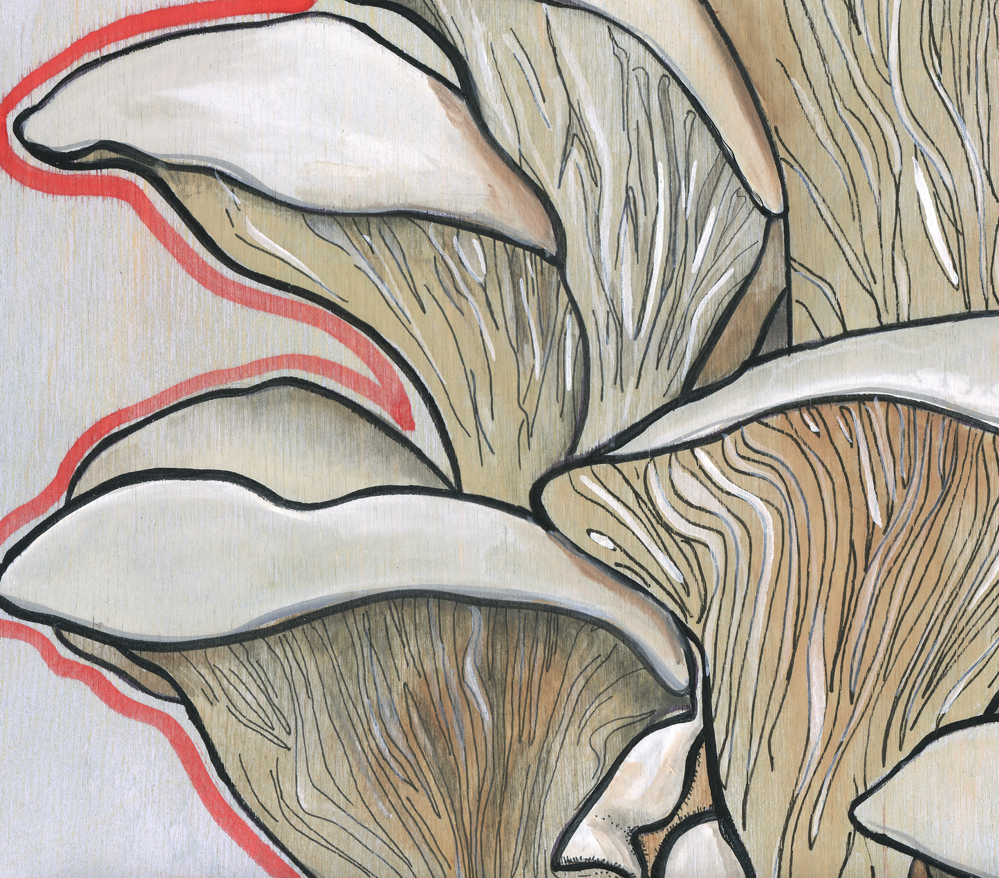 Oyster Mushrooms Print