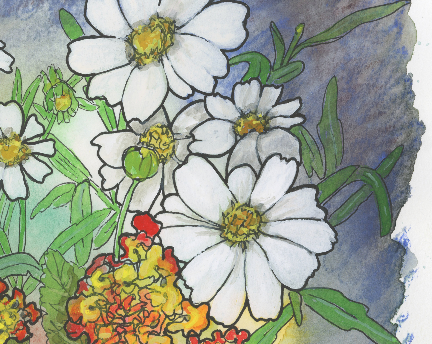 Texas White Daisy and Lantana