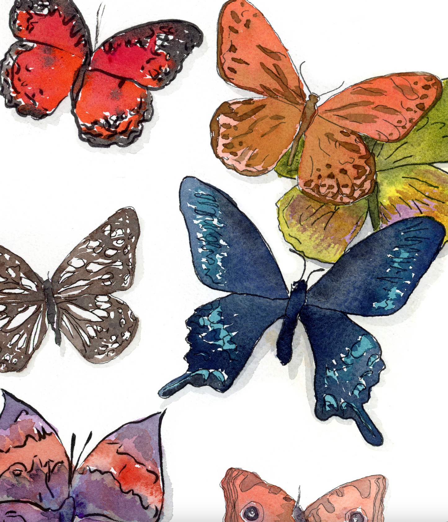 Butterfly Paper Print