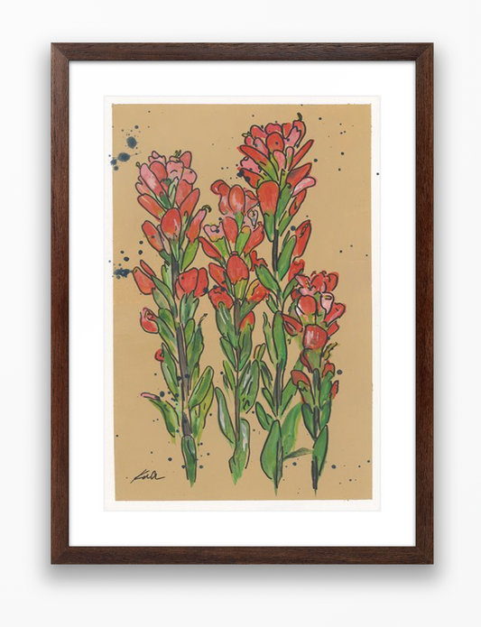 Indian Paintbrush on Tan Gouache Print Original