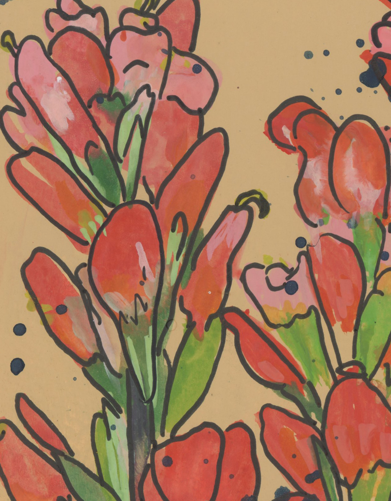 Indian Paintbrush on Tan Gouache Print
