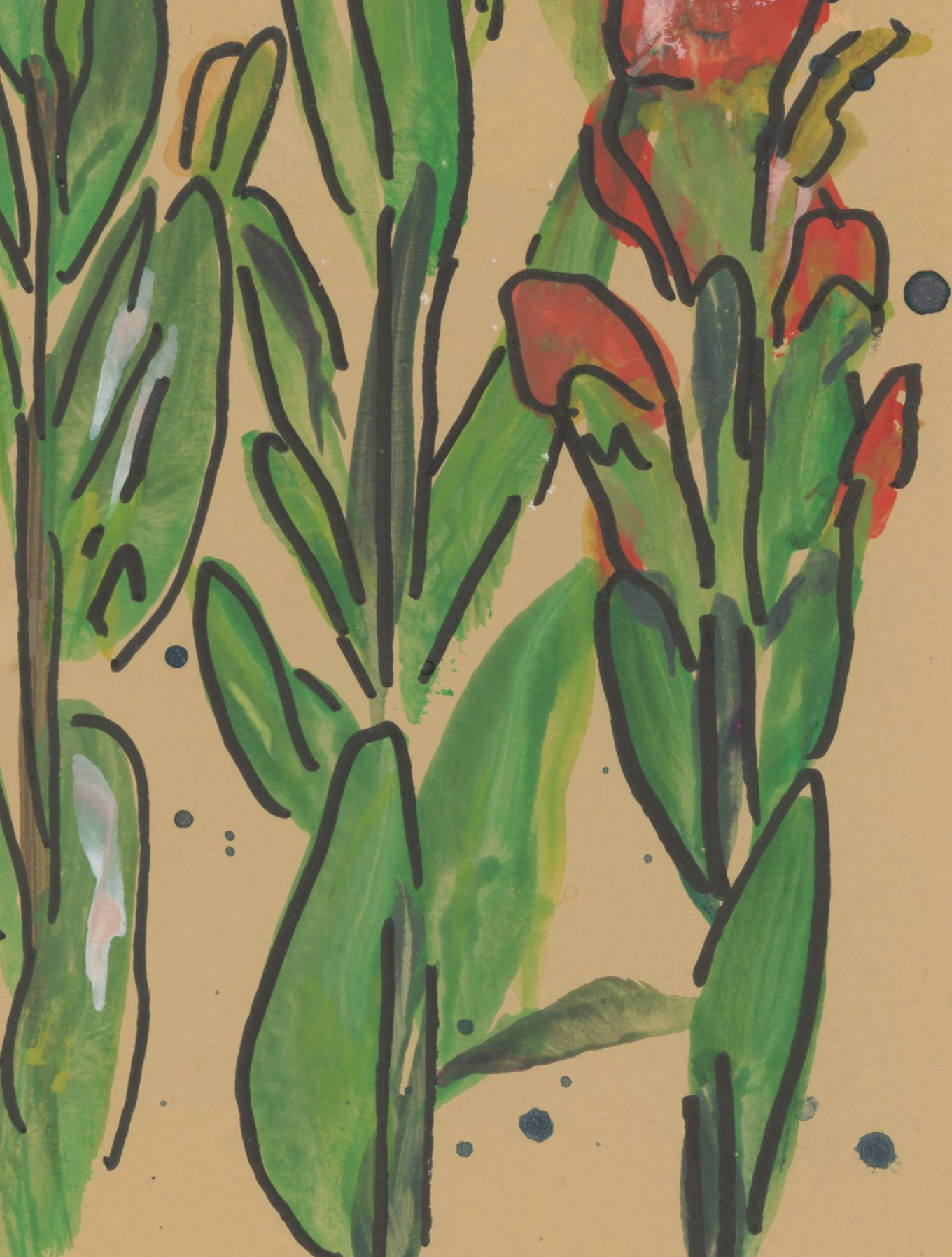 Indian Paintbrush on Tan Gouache Print