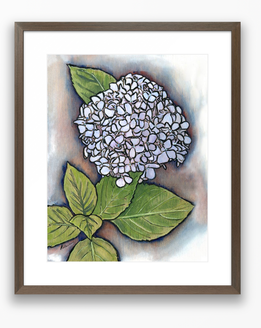 Hydrangea Print