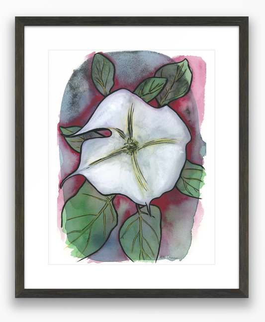 Moon Flower Alone