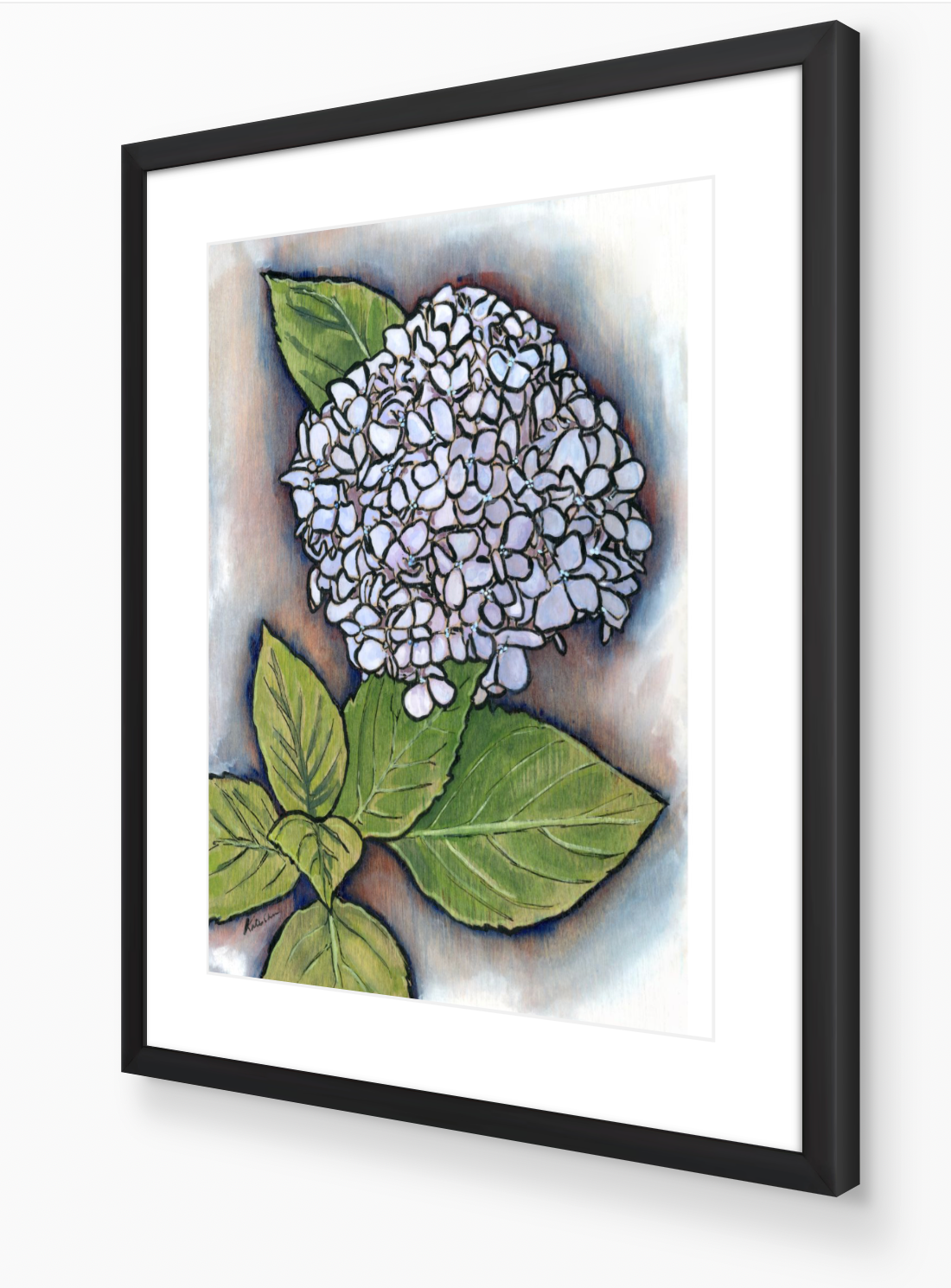 Hydrangea Original