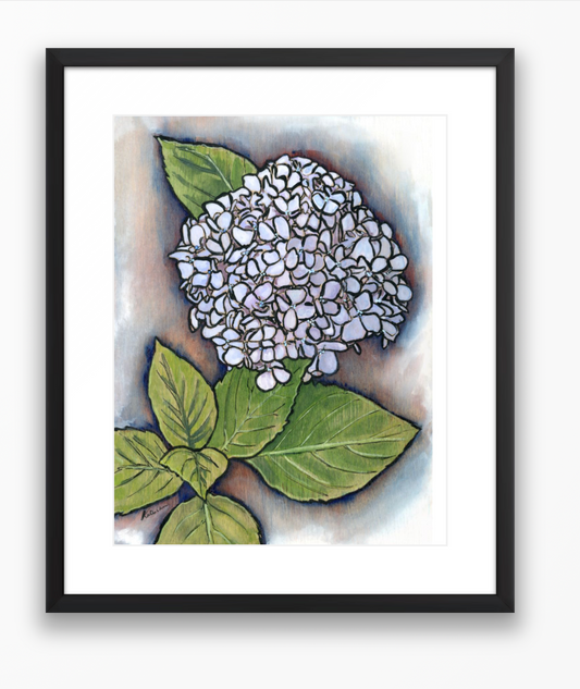Hydrangea Original