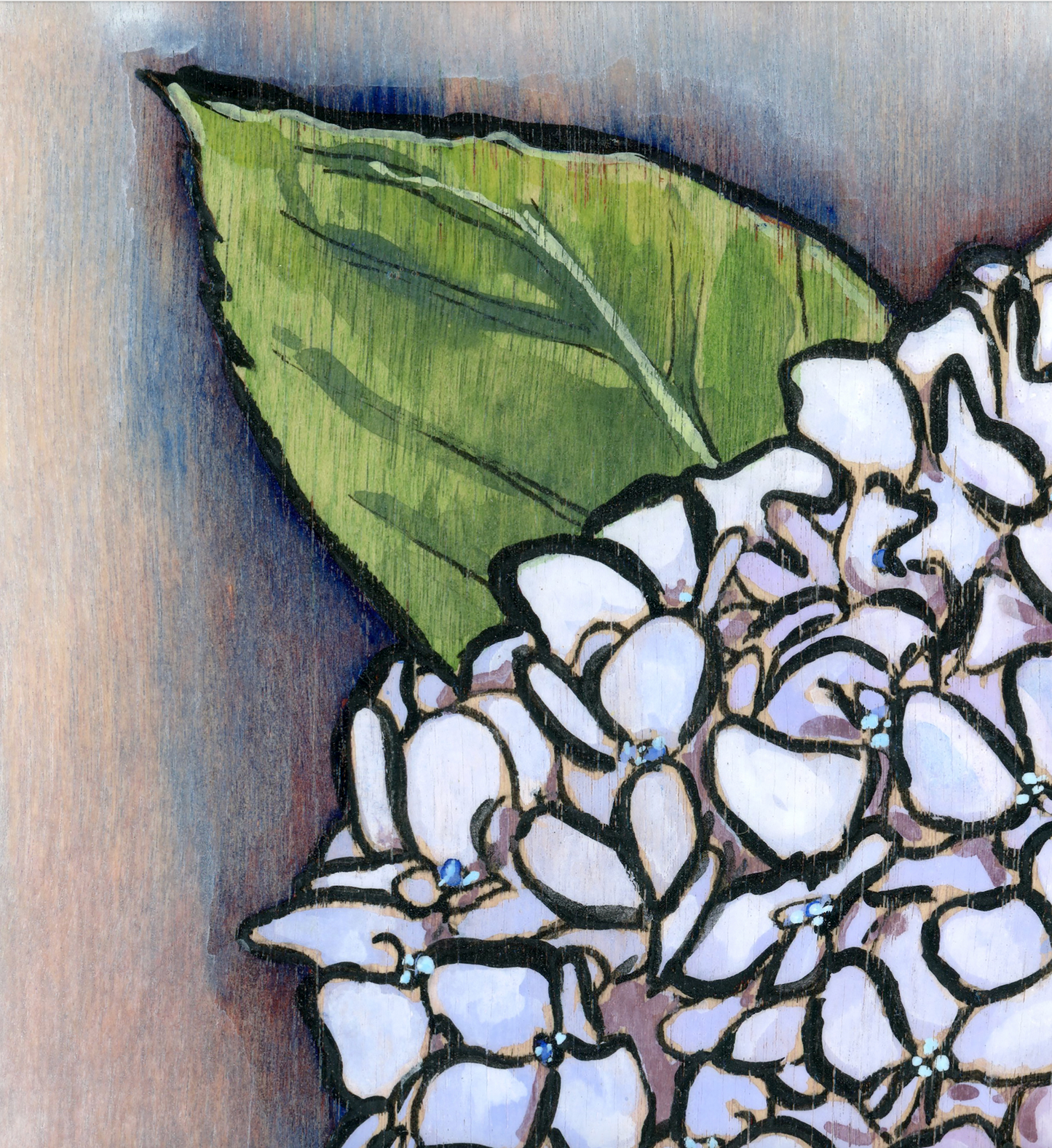 Hydrangea Original