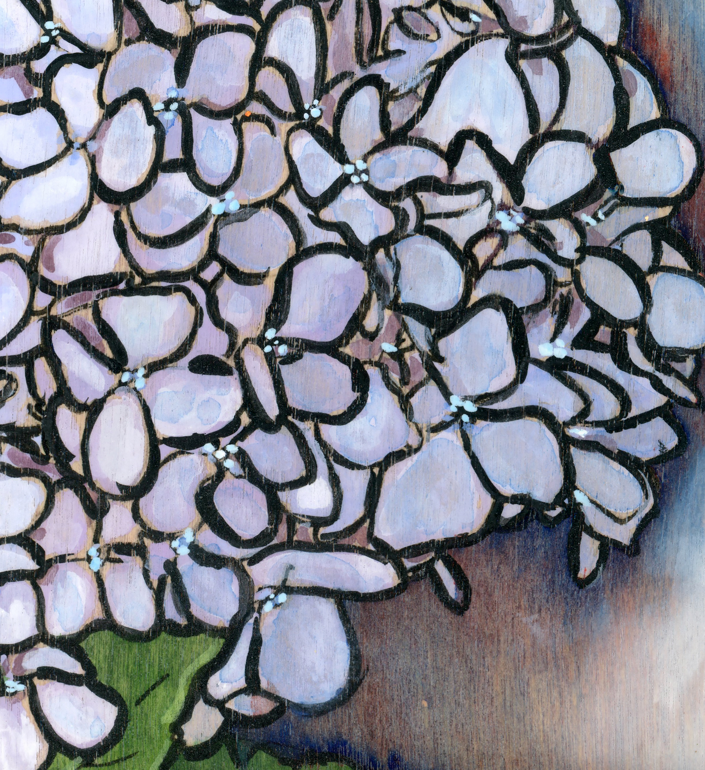 Hydrangea Original