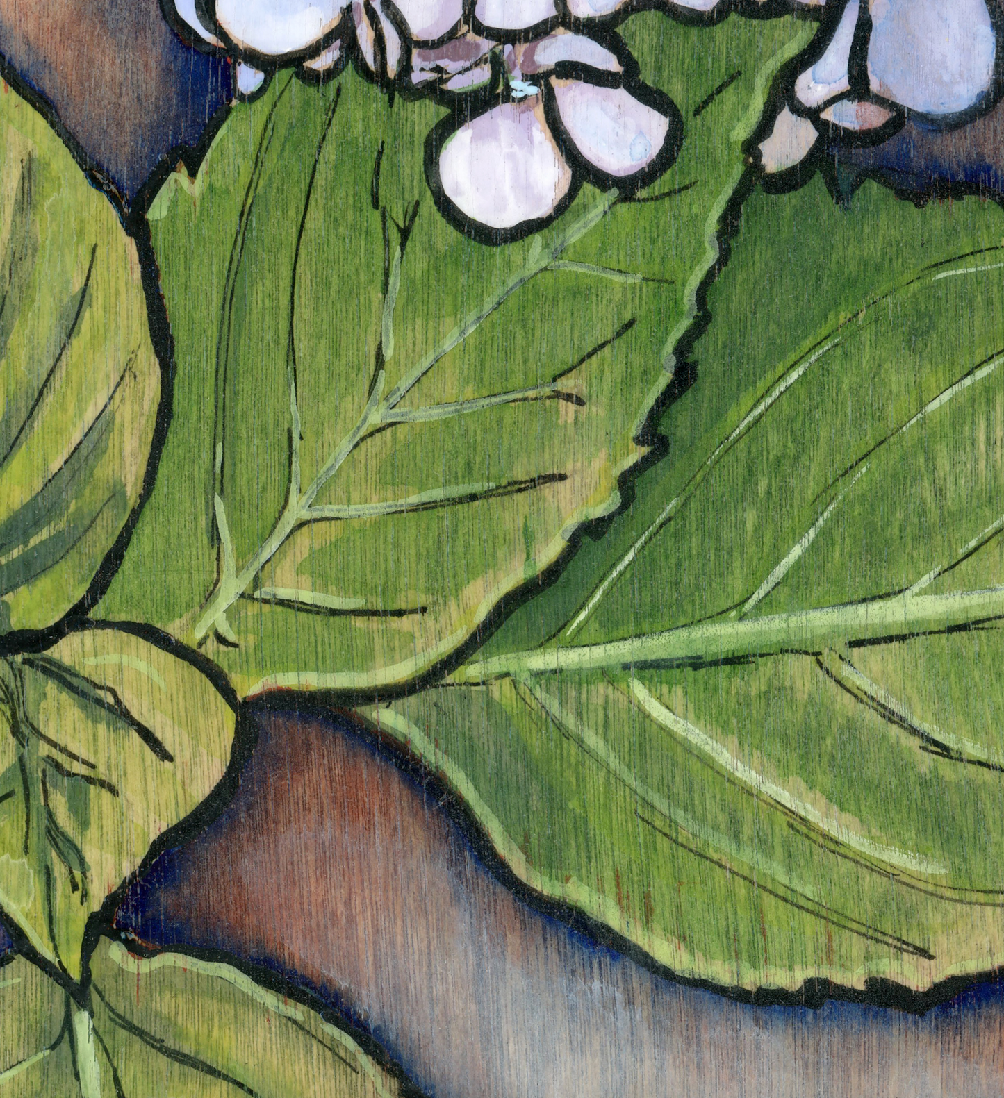 Hydrangea Original