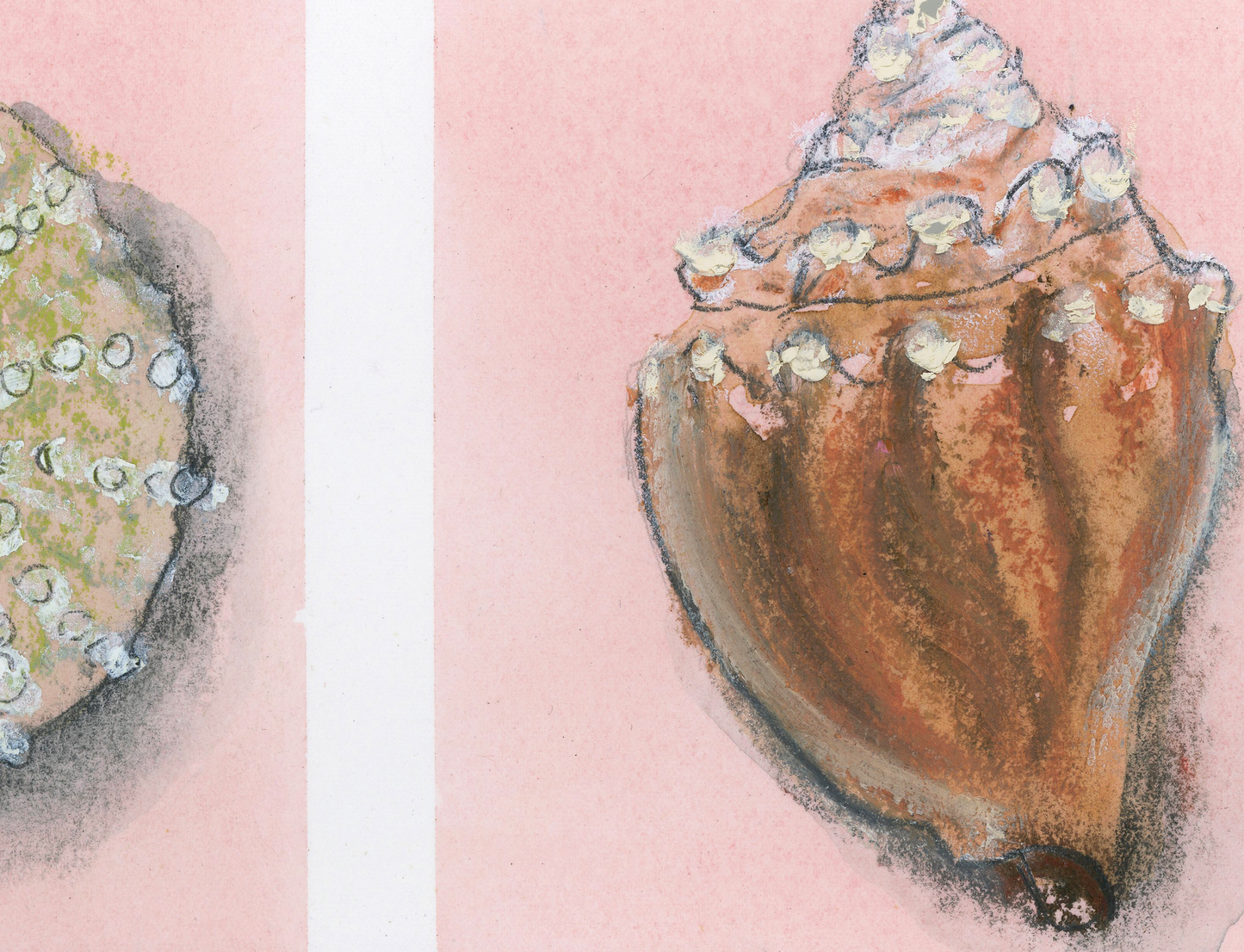 Shell Triptych