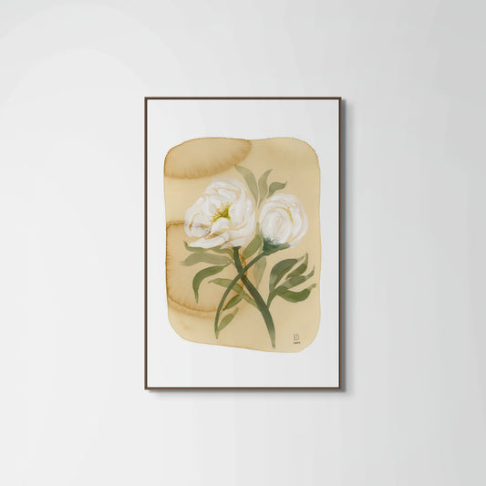 White Peony on Coffee Stain Paper Print